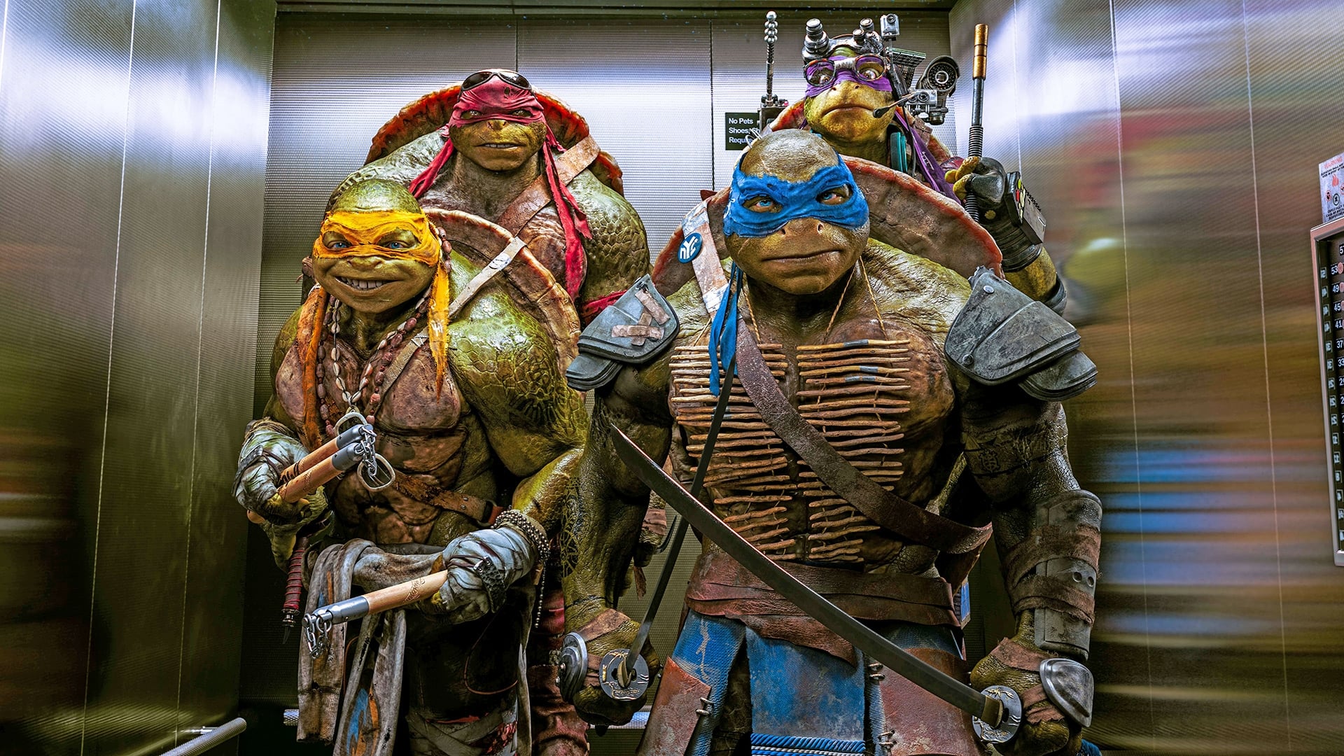 Teenage Mutant Ninja Turtles รีวิวหนัง